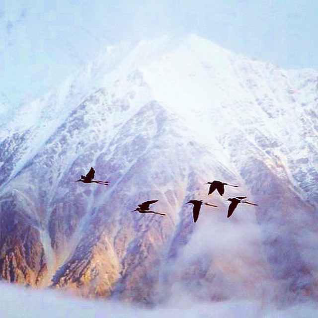 transforming, himalayas