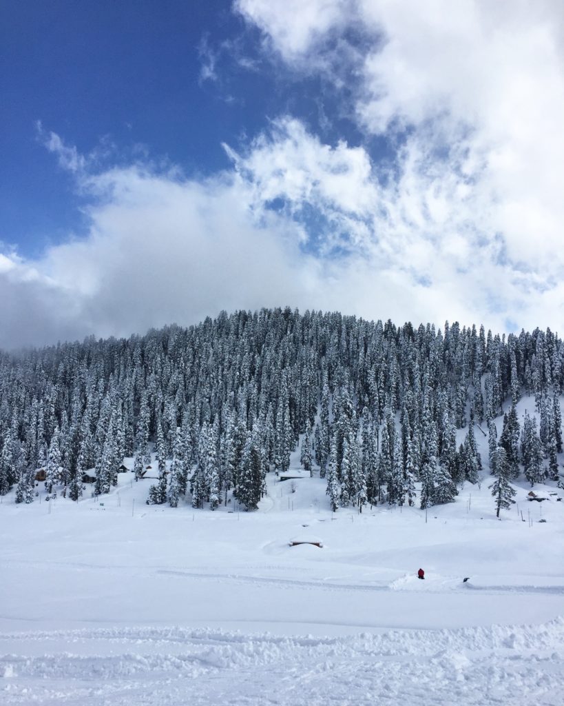 Panoramic view of the Himalayas shrouded in mist, symbolizing the disappearing Himalayan languages and isolated linguistic communities."