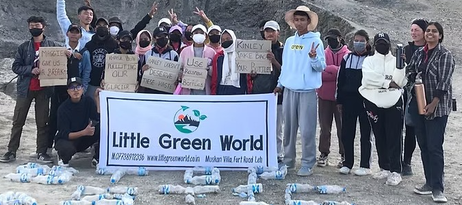 Preeti Chauhan, Little green world, Ladakh