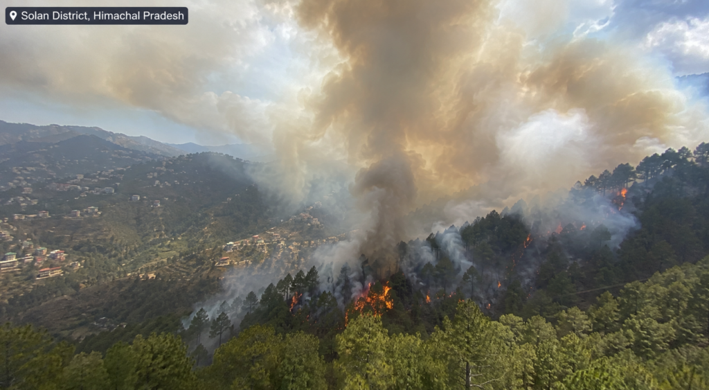 Forest Fires in Himalayas,