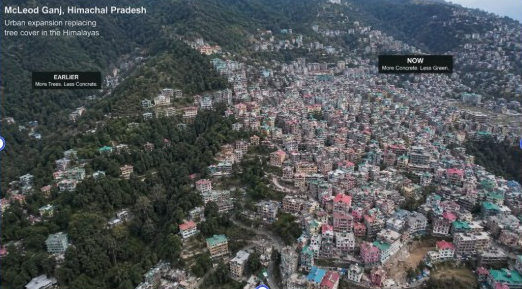 Himalayan Deforestation,